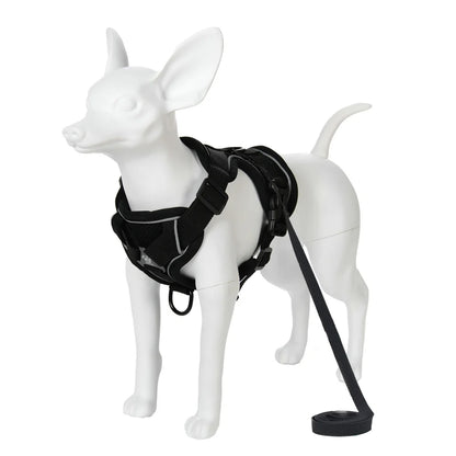 Breathable Dog Harness & Leash Set – No-Pull, Reflective