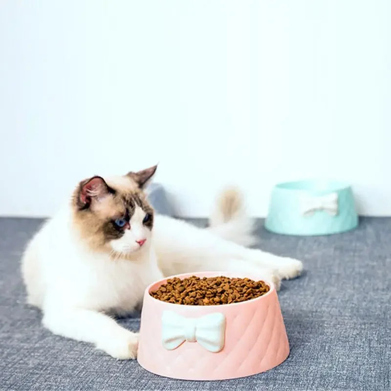 Green non-slip pet feeder bowl with decorative bow