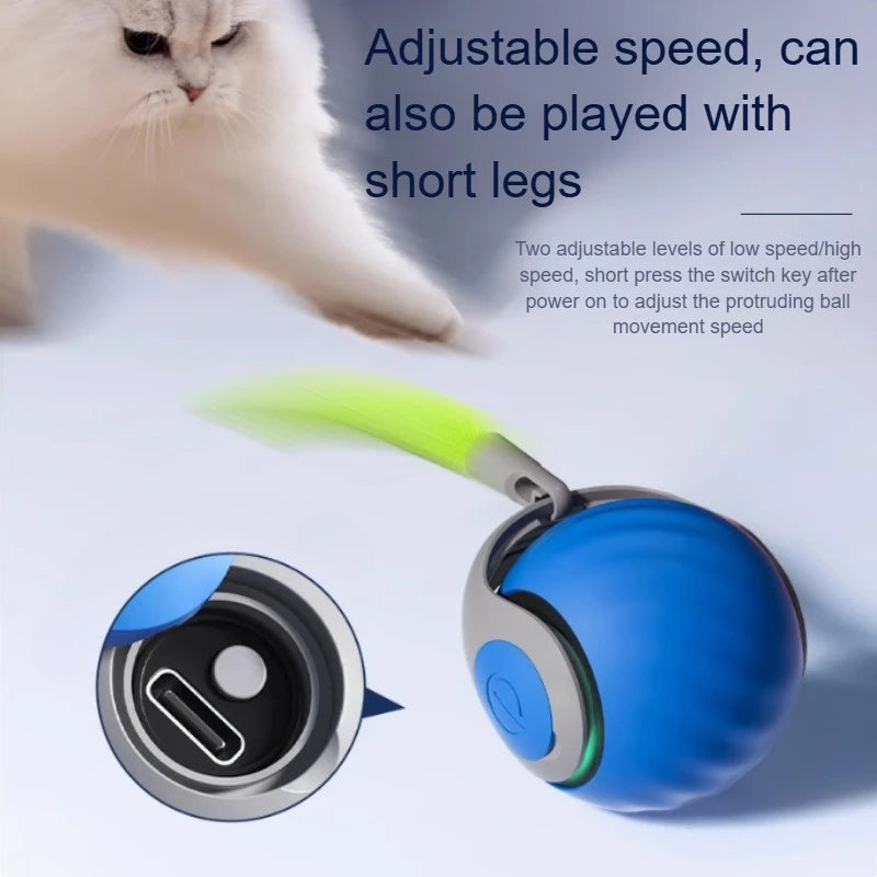 USB Rechargeable Smart Cat Ball Toy – Automatic Rolling Ball with Faux Tail for Active Kitten Training & Play