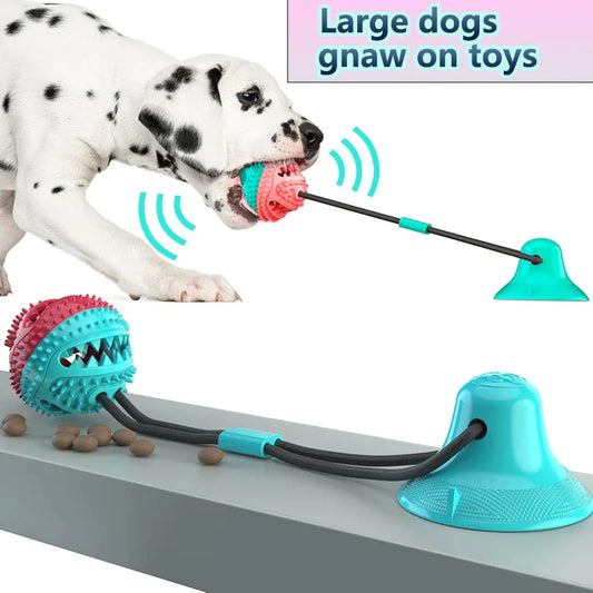Dog chewing interactive suction cup toy with rope