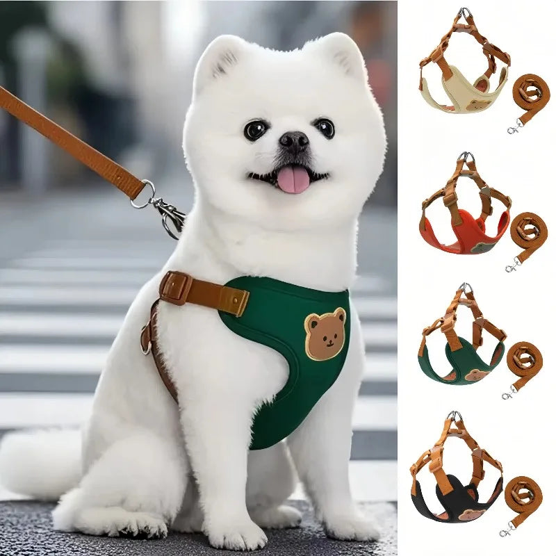 Small white dog wearing breathable harness with leash
