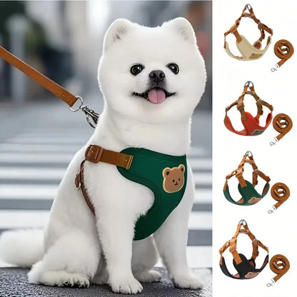 Small white dog wearing breathable harness with leash