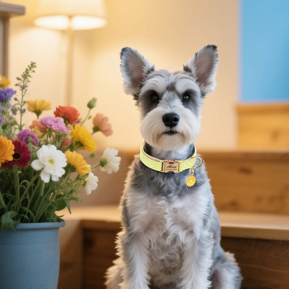 Size chart for personalized nylon dog collar