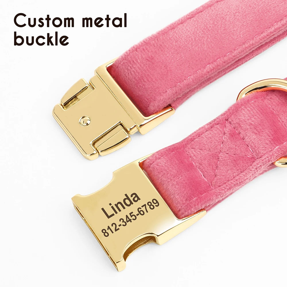 Custom engraved dog collar in velvet fabric – adjustable sizes S, M, L