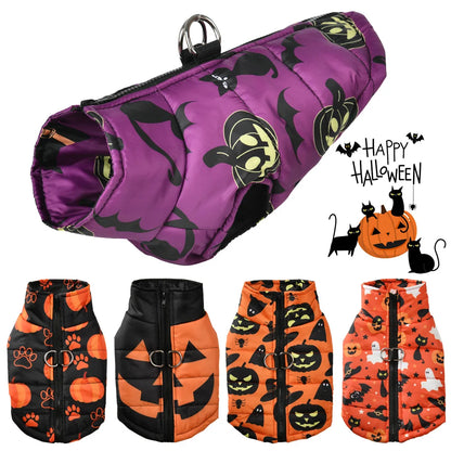 Purple Halloween pumpkin print dog jacket

