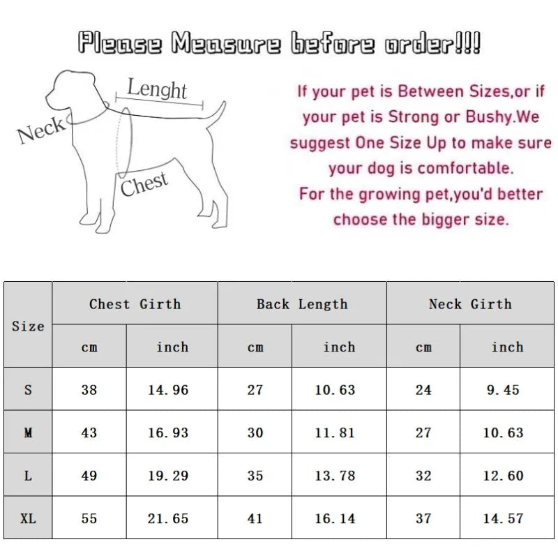 Halloween Dog Dress – Pumpkin Print Costume for Small Dogs